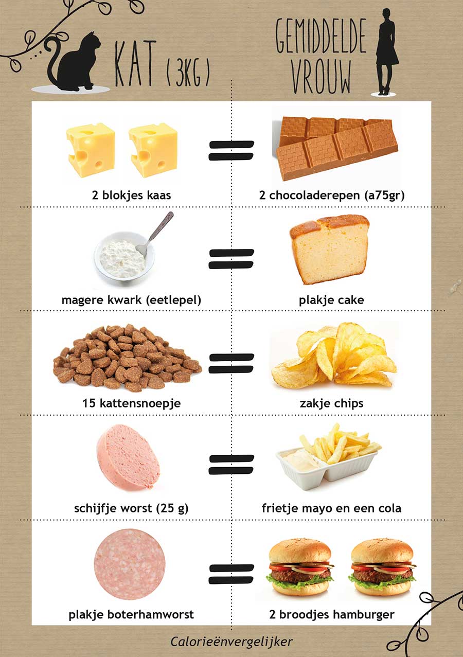 caloriewijzer voor katten